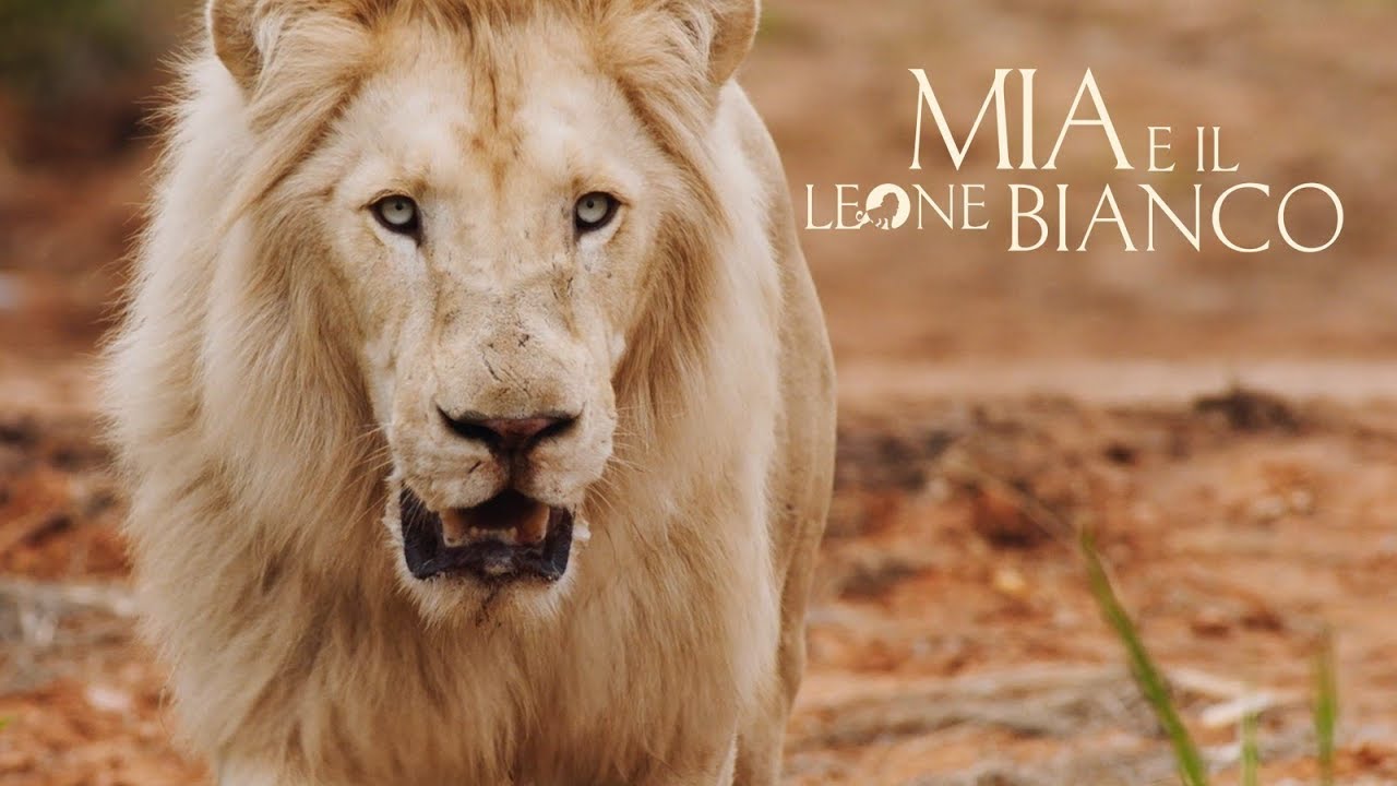 Mia e il leone bianco - Featurette 