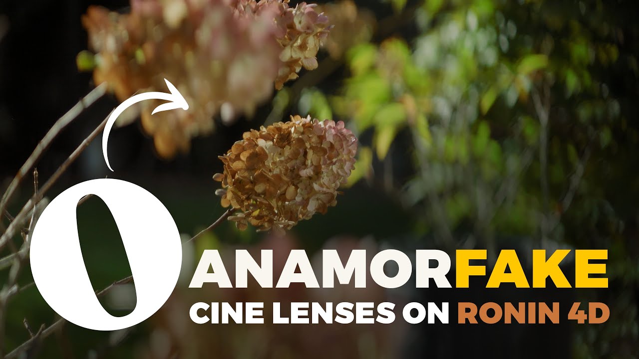 Anamorfake Samyang/Rokinon VDSLR - Oval Bokeh Deliciousness on the DJI Ronin 4D-8K