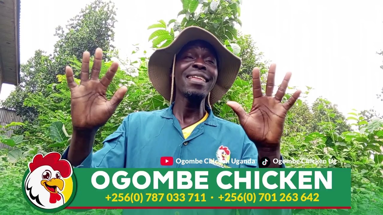 HOW TO CHOOSE THE RIGHT CHICKEN BREEDS FOR YOUR FARM