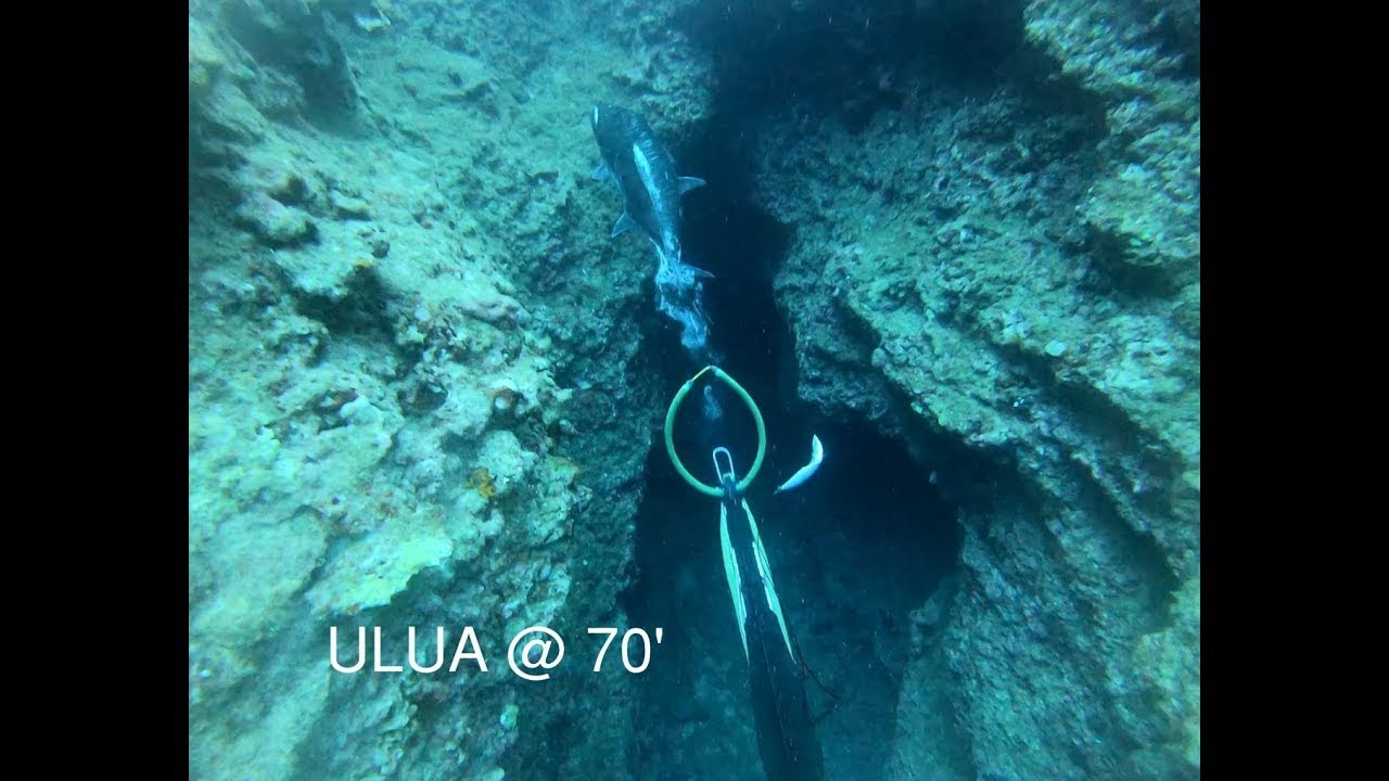 THAT ONE ULUA (GT) - The One Who ALMOST Got Away #TeamSeas #spearfishing #Freediving