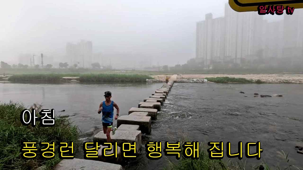60대 3년차 러너 몸이 무거운 날 힘들지 않게 하 프코스 21km 달리기