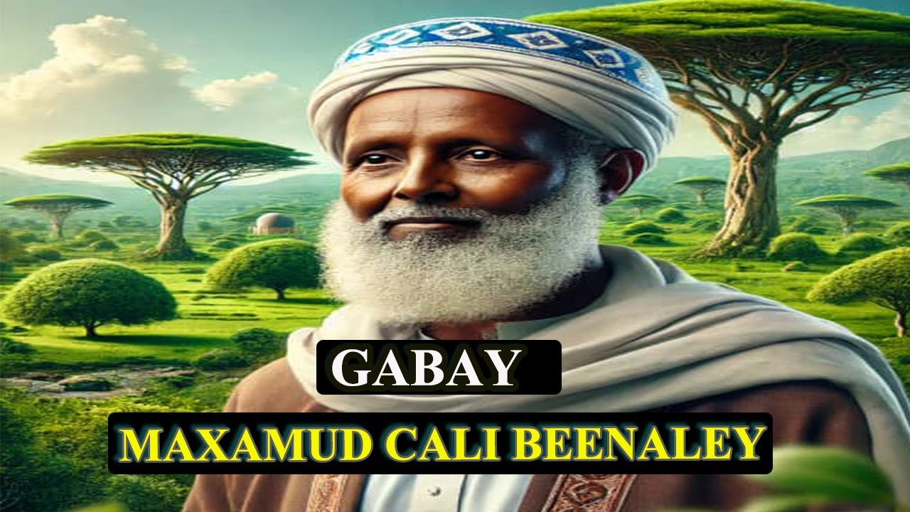 gabaygii baxnaano || maxamuud cali beenaleey