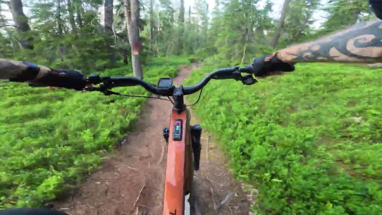 Lofsdalen Södra E-MTB