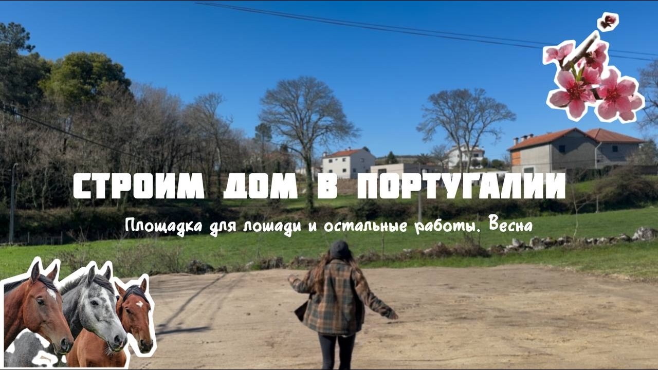 День в деревне Португалии/Новости по стройке/Событие, которое ждали 7 месяцев/Что принялось в саду?