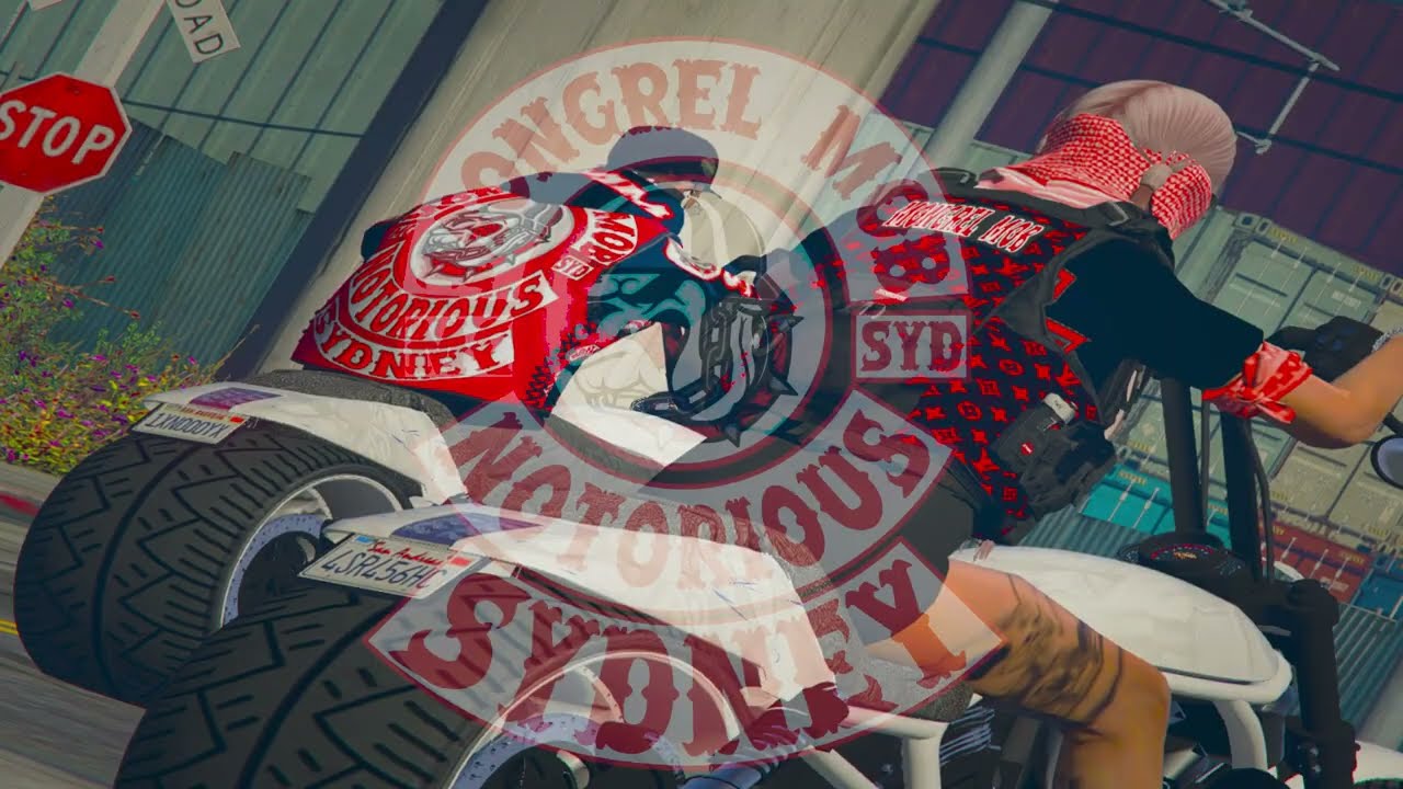 Hoodlogic RP | Flea Pack Pt 1