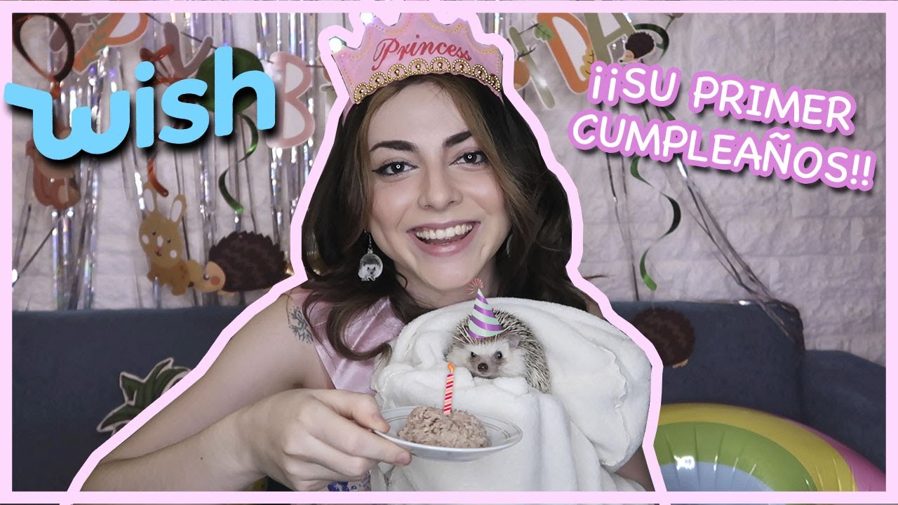 ¡PIDO REGALOS de WISH para mi ERIZA! | Cande Copello