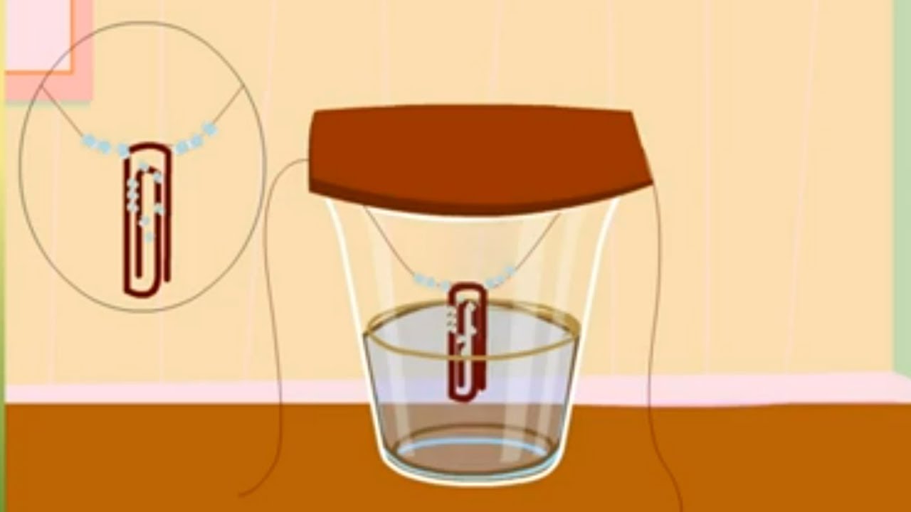 Make your sugar crystals - Science Projects
