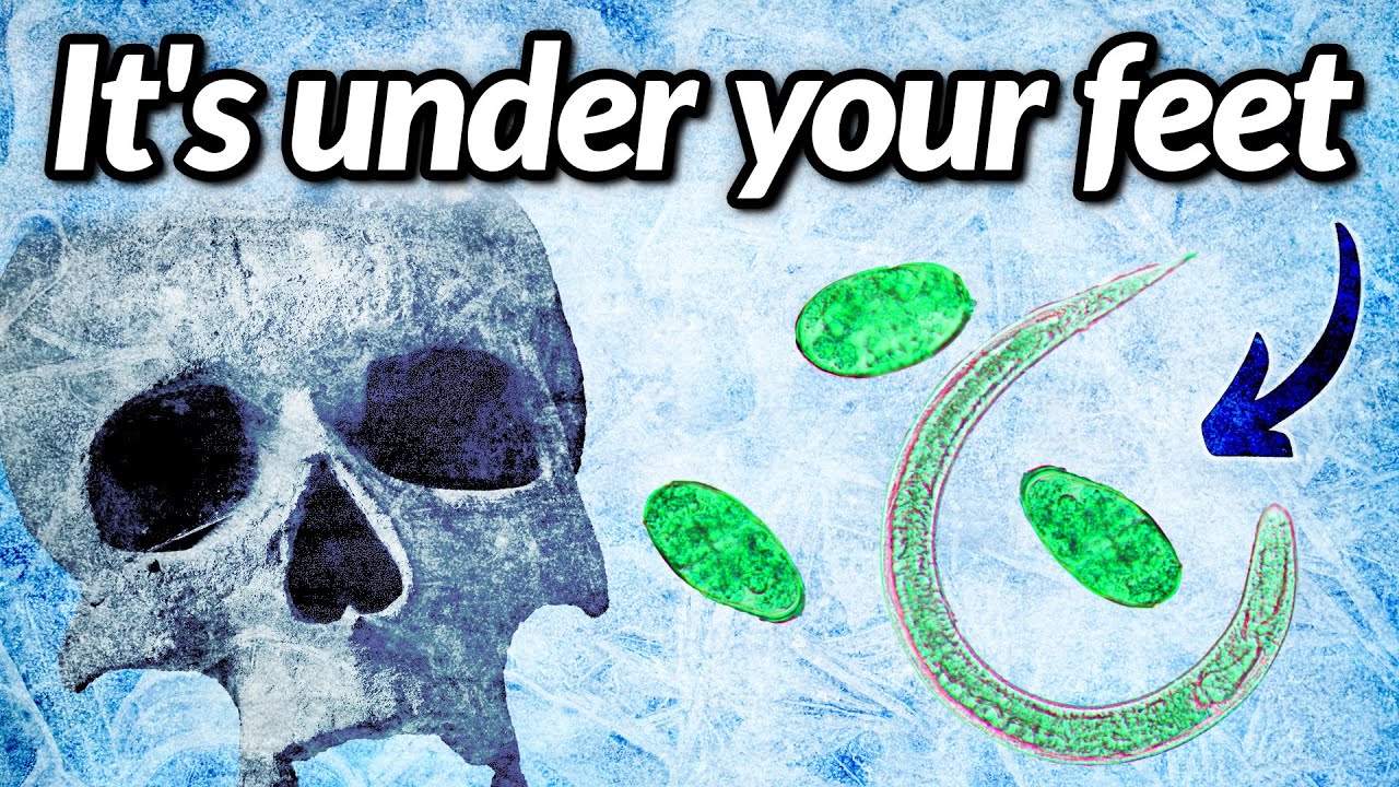 How 48,000-Year-Old 