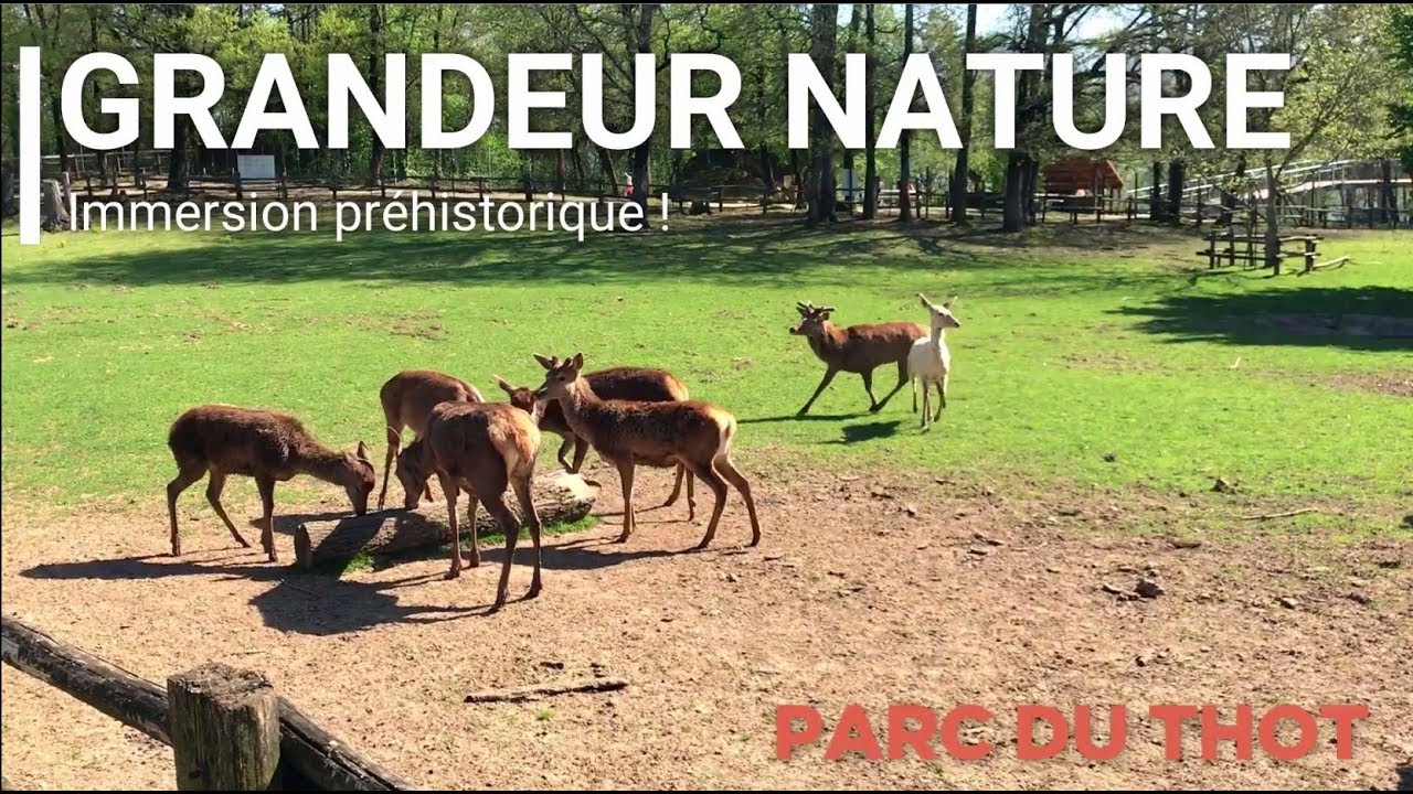 Grandeur Nature en Dordogne ! Le Parc du Thot