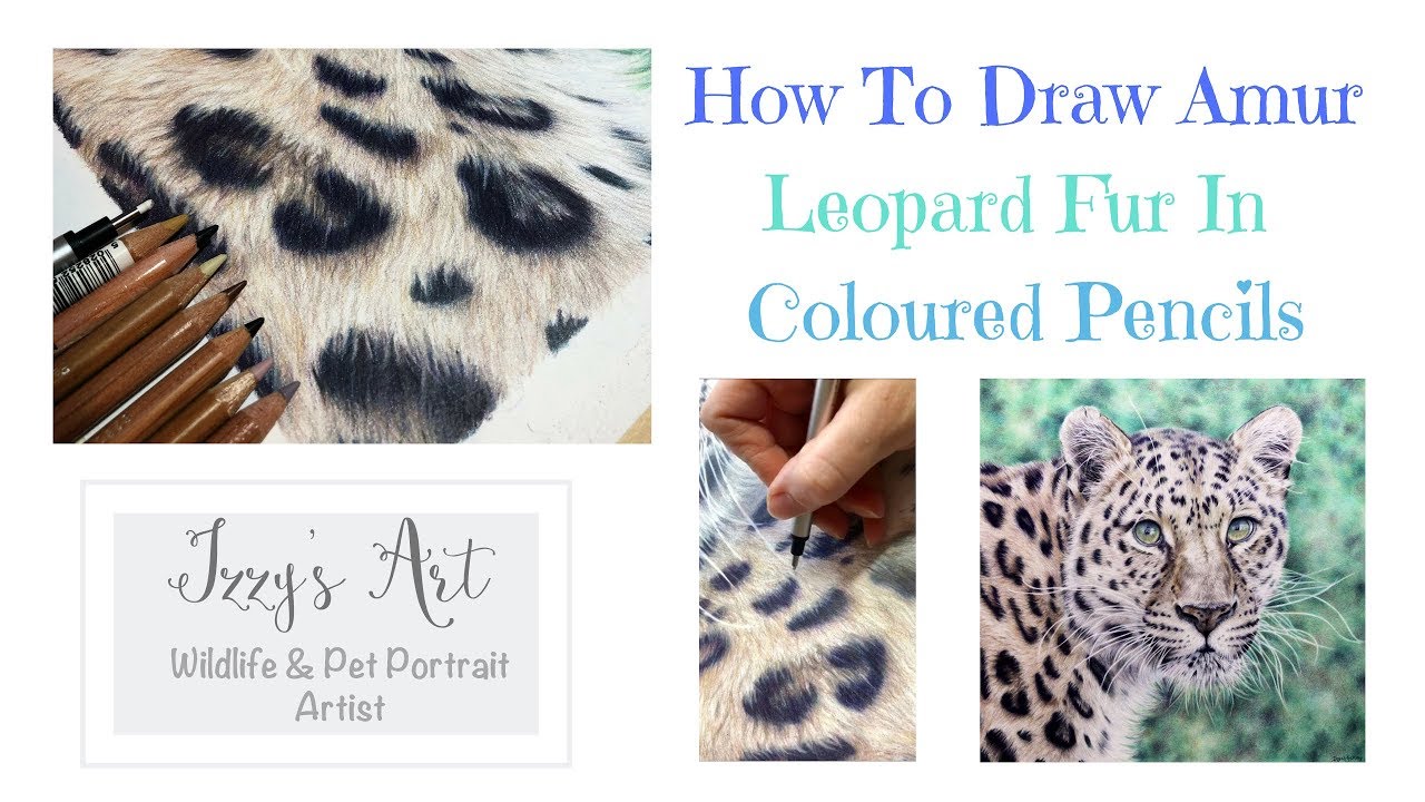 How To Draw Amur Leopard Fur In Coloured Pencils