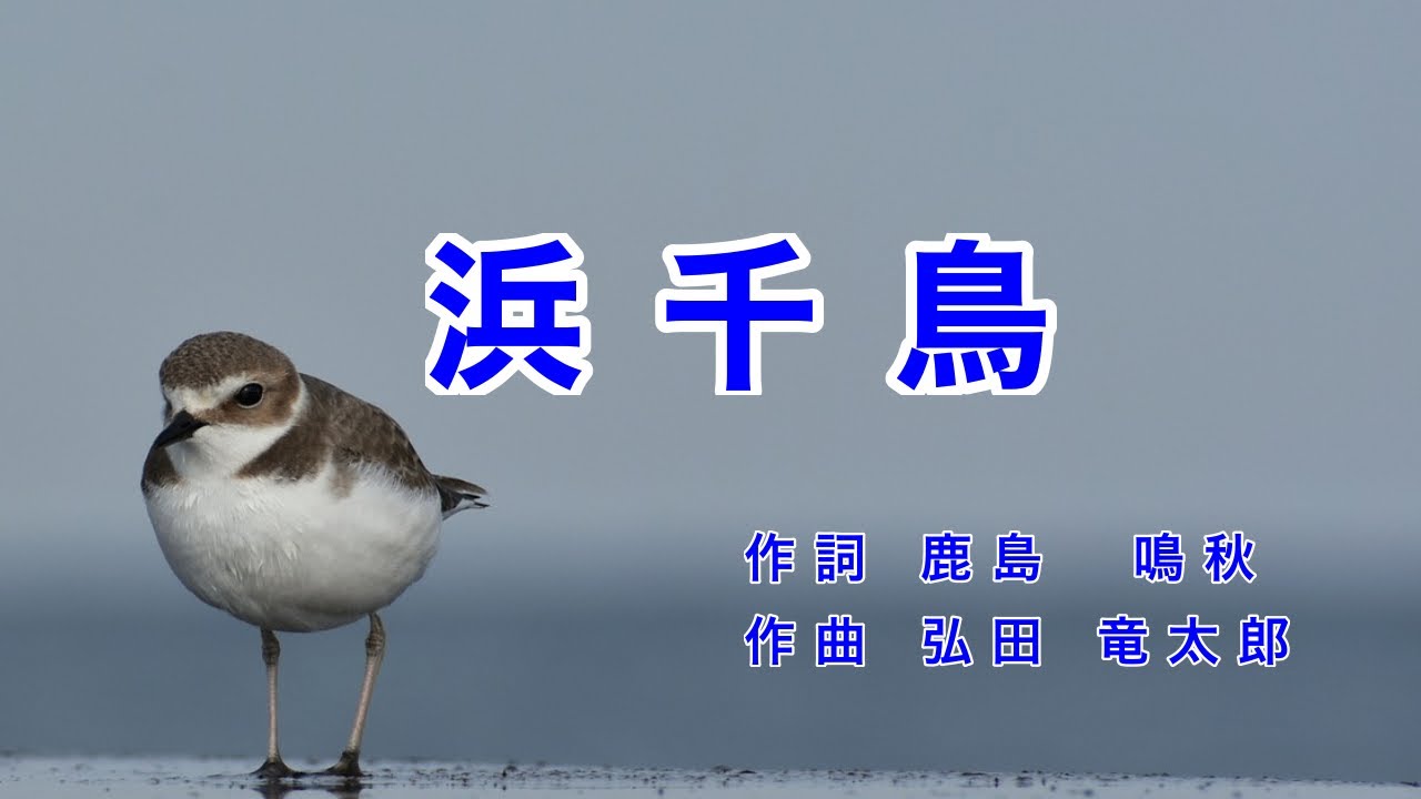 浜千鳥｜歌詞付き｜日本の歌百選｜青い月夜の 浜辺には