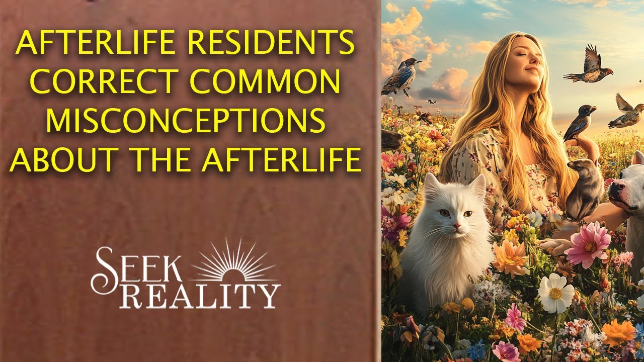 Residents Reveal Common Misconceptions About the Afterlife | Seek Reality