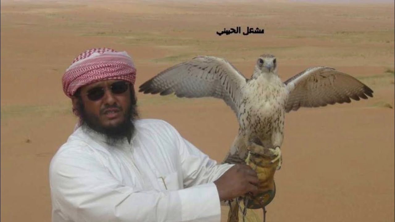 مشعل الحبيني في ضياع الطير