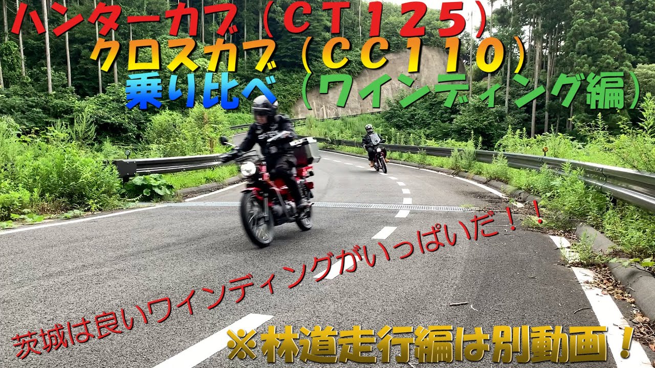 ハンターカブ（ＣＴ１２５）とクロスカブ（ＣＣ１１０）を乗り比べてみました（ワインディング編）武生林道、竜神大吊橋、大子町、奥久慈しゃも親子丼満喫の旅（ＪＡ５５）