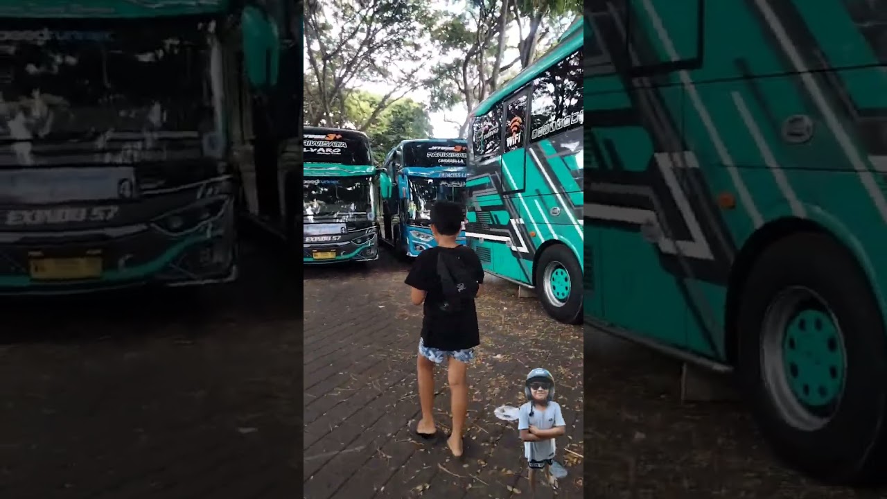 BUS MANIA, TELOLET OM #teloletbasuri #viral