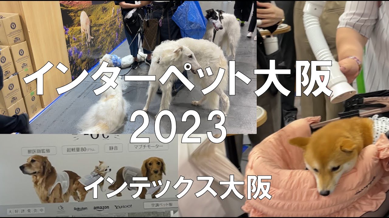 愛犬の展示会：インターペット大阪2023・インテックス大阪・展示会営業術