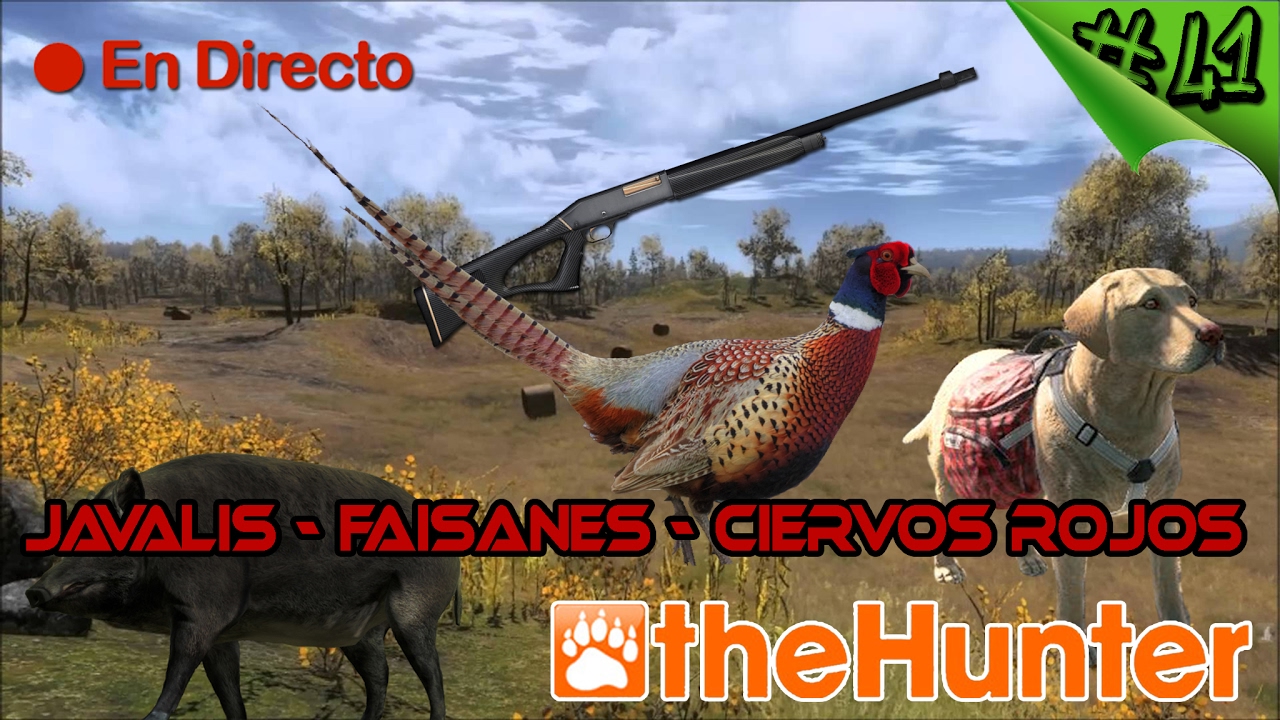 The Hunter Classic #41 - Hirschfelden - Jabali - Ciervos Rojo - Faisanes - corzo - Español 1080p