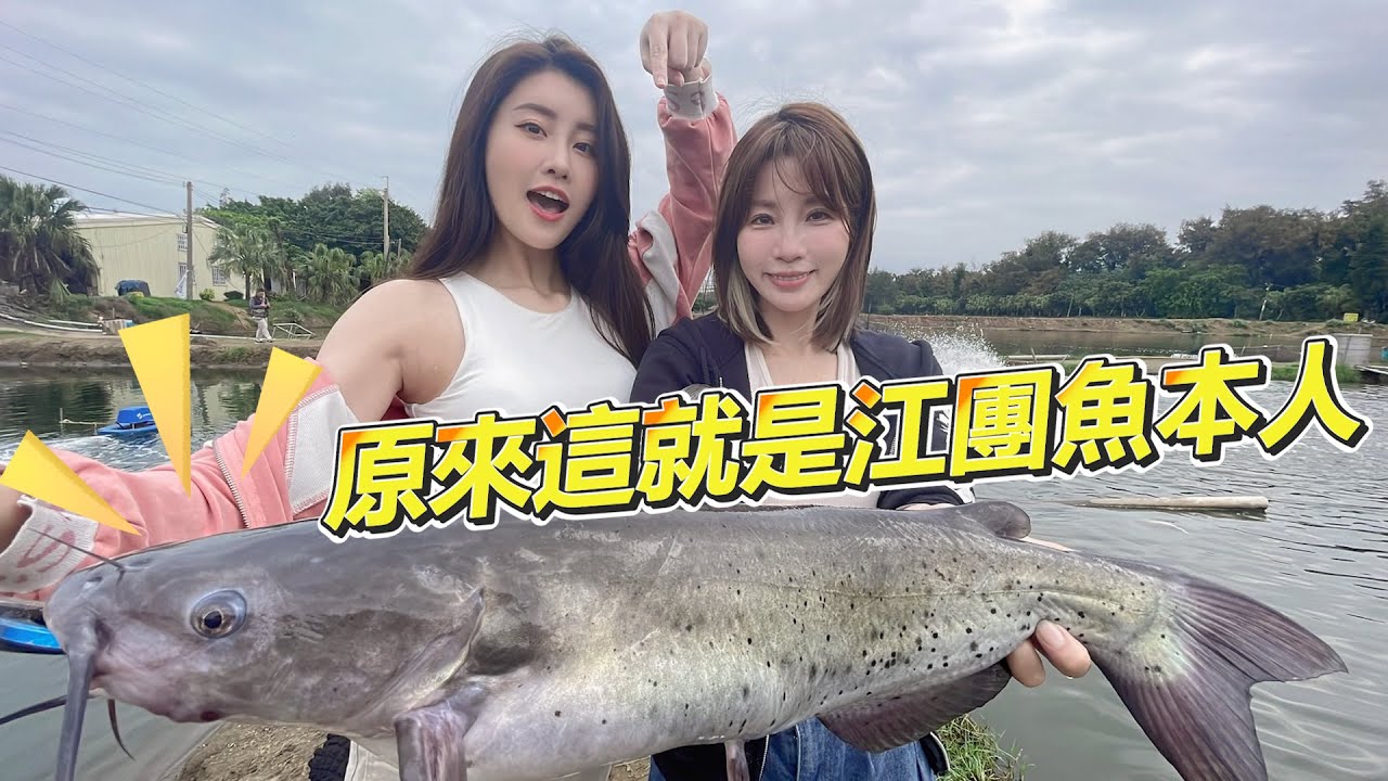 【亦起來釣魚】首次來到海水路亞池，解鎖新成就、新郵票～ ​feat. ⁠@iampattihuang