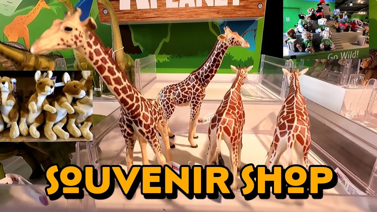 Yorkshire Wildlife Park Gift shop tour    [4K]