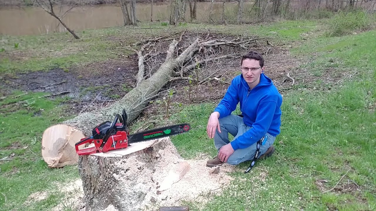 THE UNTHINKABLE HAPPENED WHILE CUTTING DOWN A HUGE ASH TREE NEAR A HOUSE!! TIMBERPRO TAKES A TUMBLE!