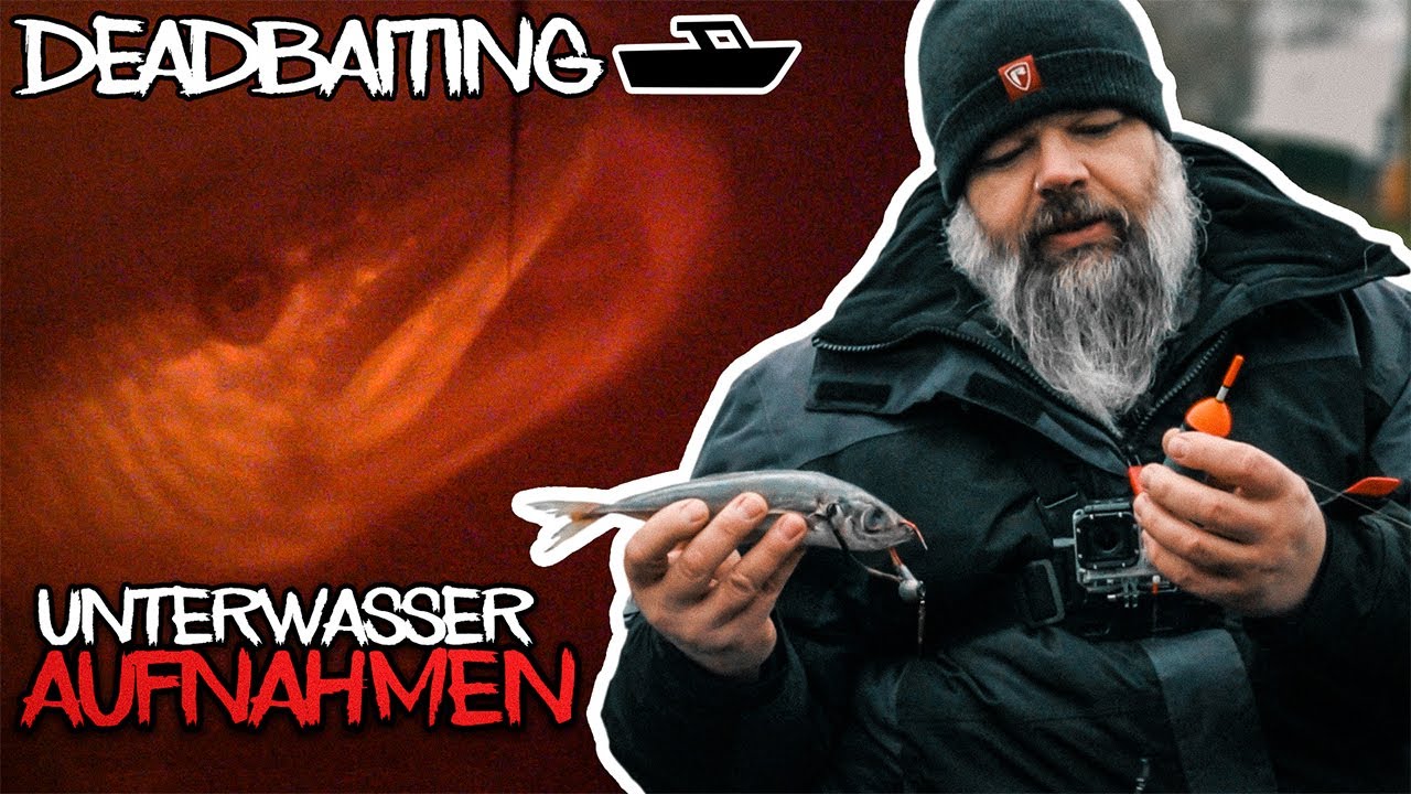 DEADBAIT | SCHLEPPEN MIT DEM BOOT | MEGA HECHT BISSE |