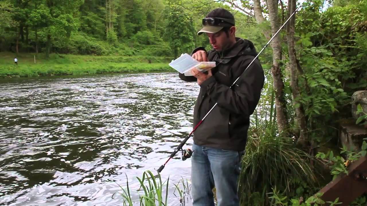 Pêche de l'Alose en territoire BZH