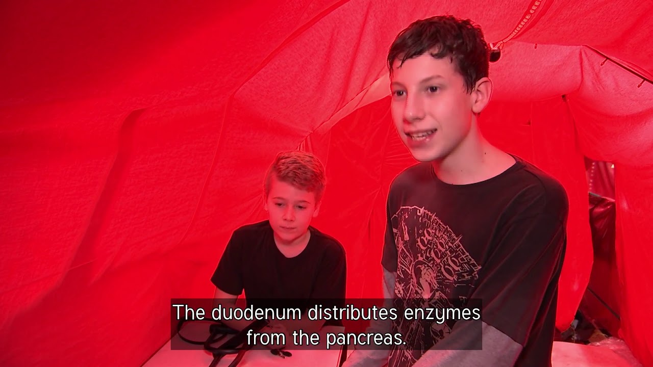 Walk-through Digestive System, ACW (Ceri) Ysgol Gyfun Cwm Rhymni