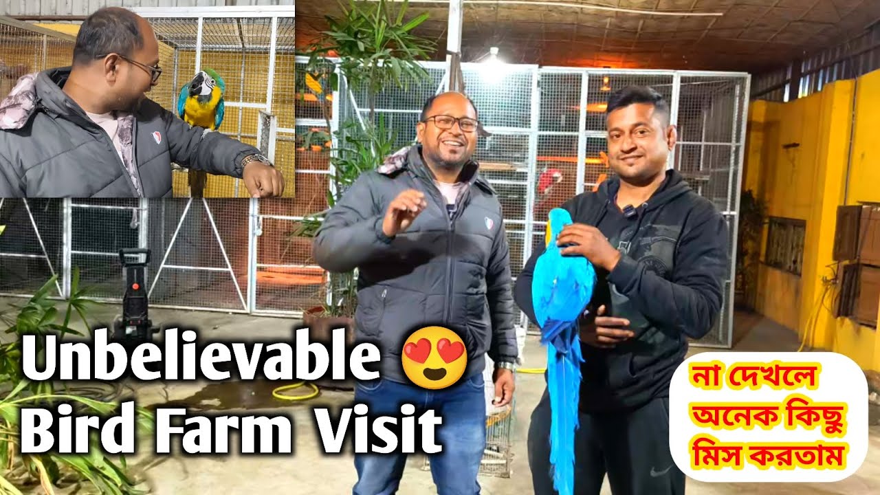 🦜 হাওড়া নিব্রার রহস্যময় পাখির সাম্রাজ্যে এক রোমাঞ্চকর দিন!