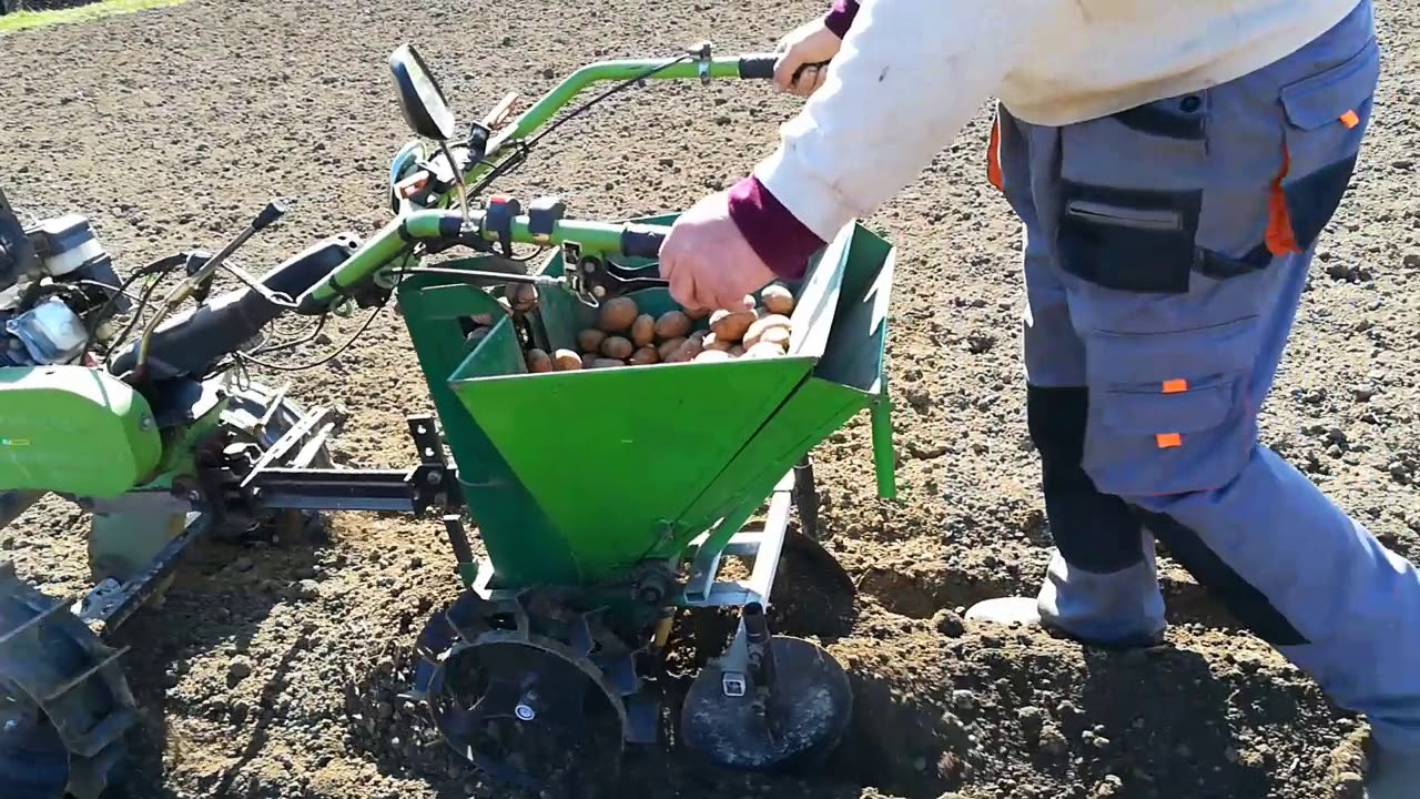 Cu motosapa WM500 ZS 500 B-3 de 7cp transmisie din fonta . La plantat de cartofi 2019,