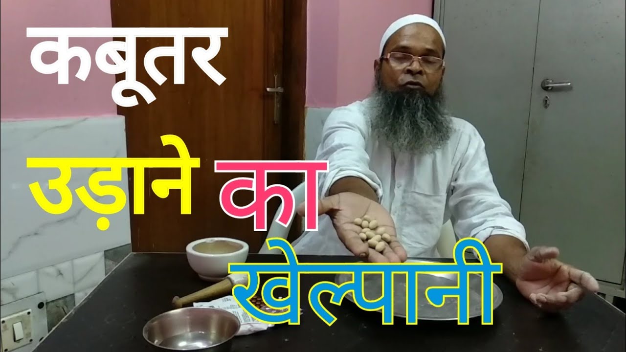 Pigeon Kabootar udaane ka khel pani