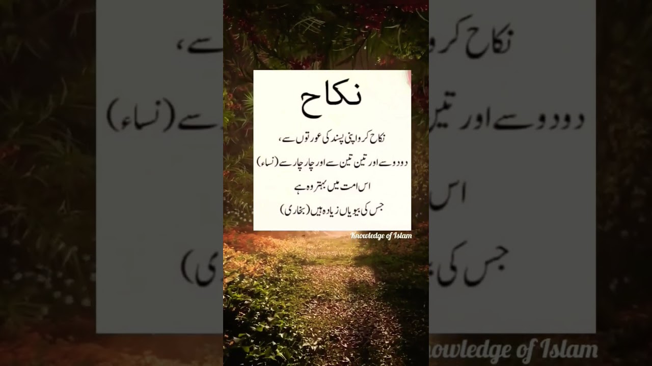 Nikah |🥹🥰😘💓💗🫀|#islamicviralshort #newshort #subscribemychannel #knowledgeofislam #loveallah