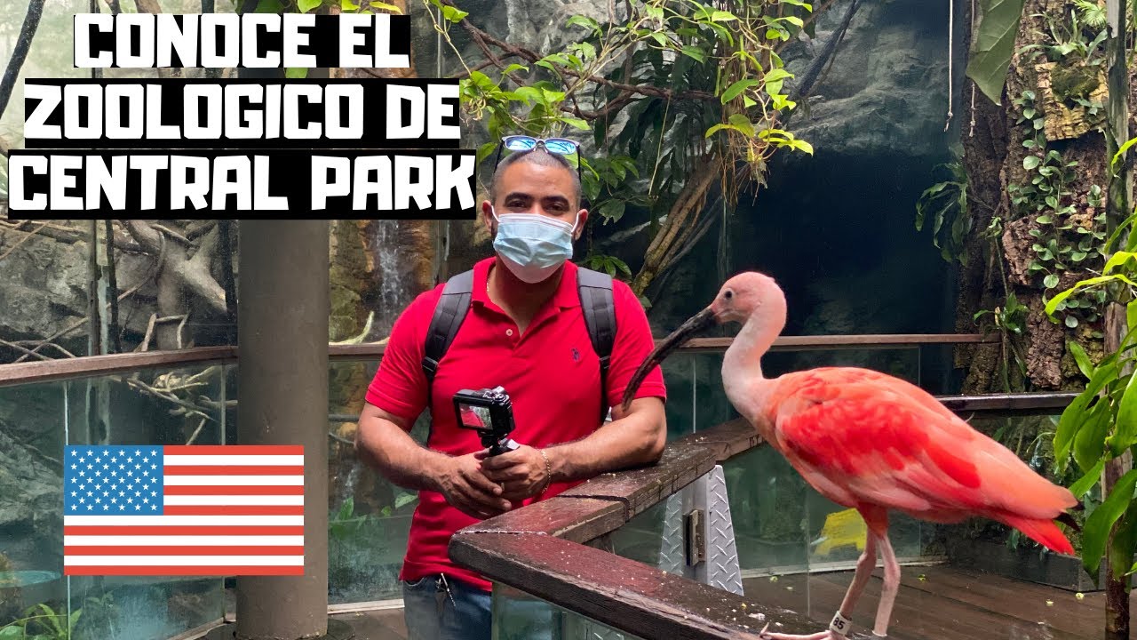 Visitando ZOOLOGICO DEL CENTRAL PARK NEW YORK 2020.