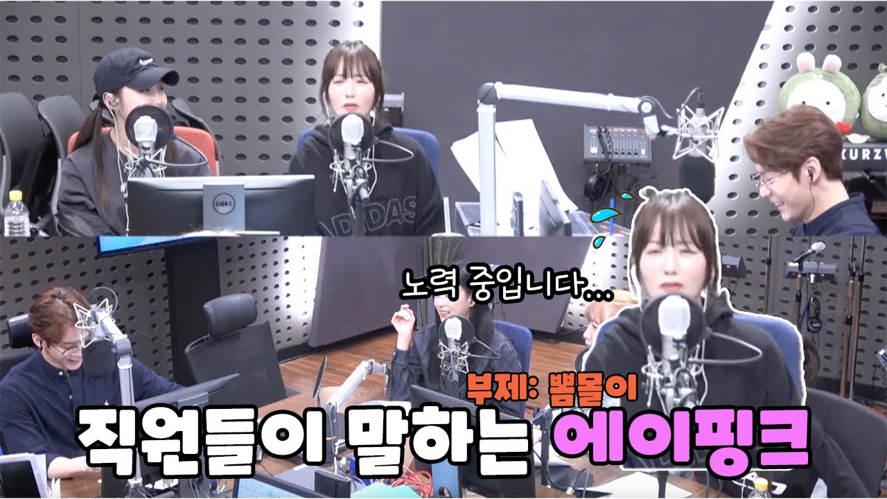 [에이핑크] 직원들이 말하는 에이핑크 (부제: 뽐몰이)