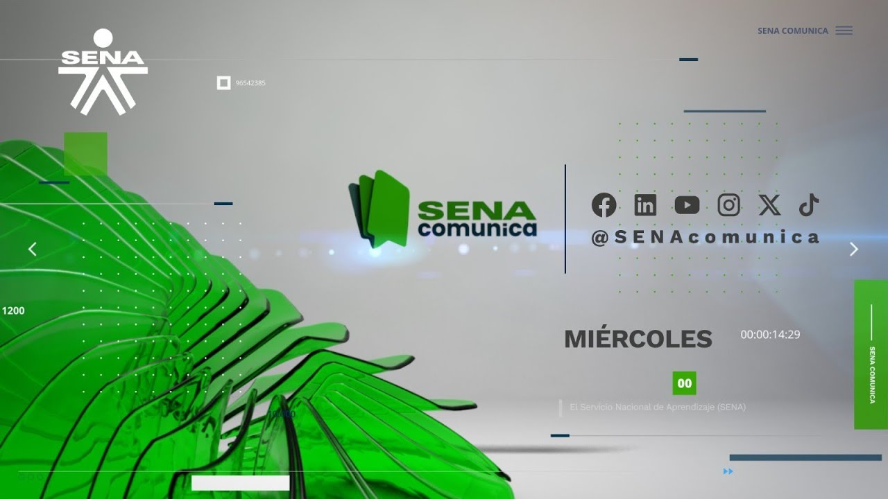 SENA TV Эпизод 119