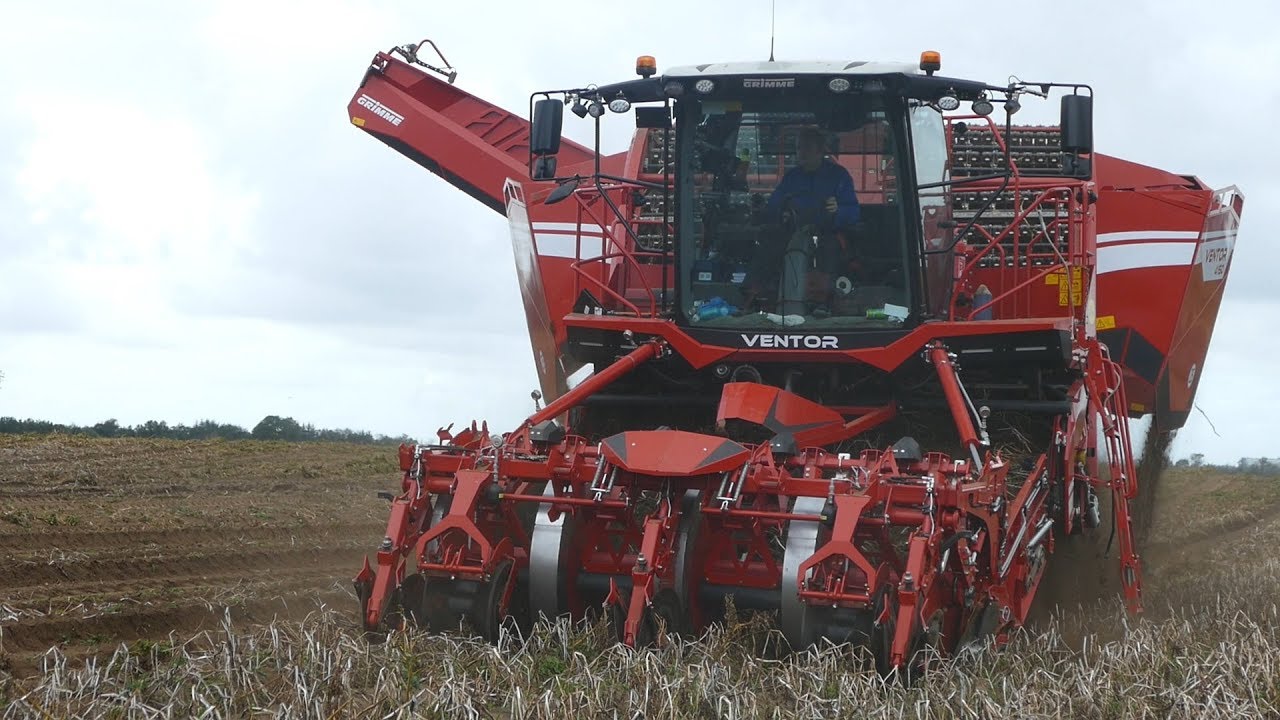 Grimme Ventor 4150 Working Hard in The Field Harvesting Potatoes | BIG Harvester | DK Agriculture