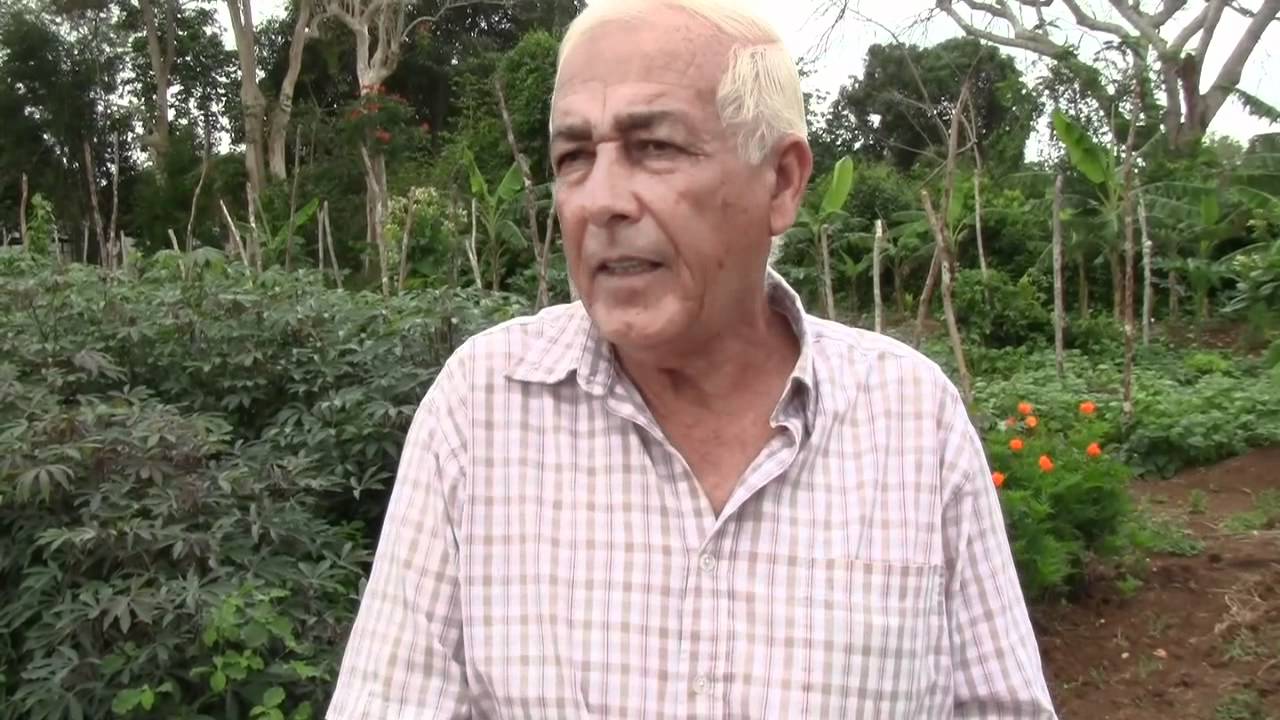 Cosechando lo que no se puede sembrar (la siembra de Don Luis Soto)