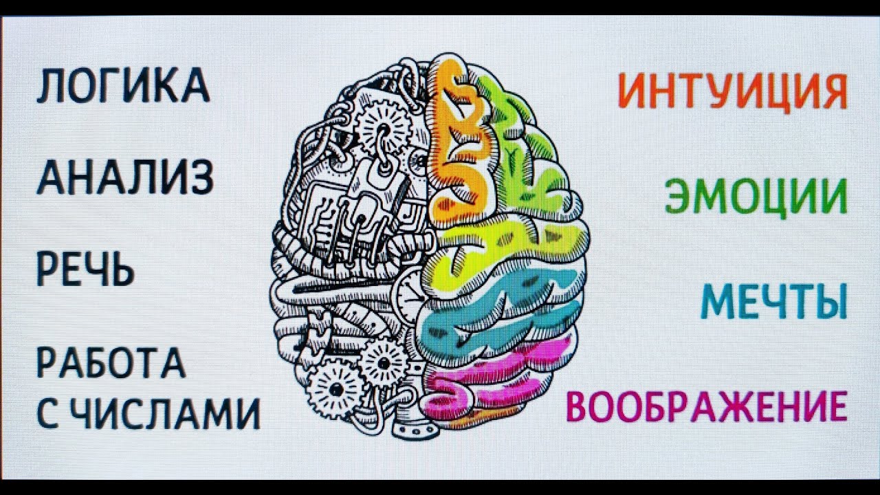 Аудиофилы и скептики почему мы по разному слышим