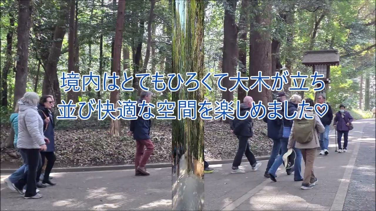 2026 2 12明治神宮・国立代々木競技場を散策