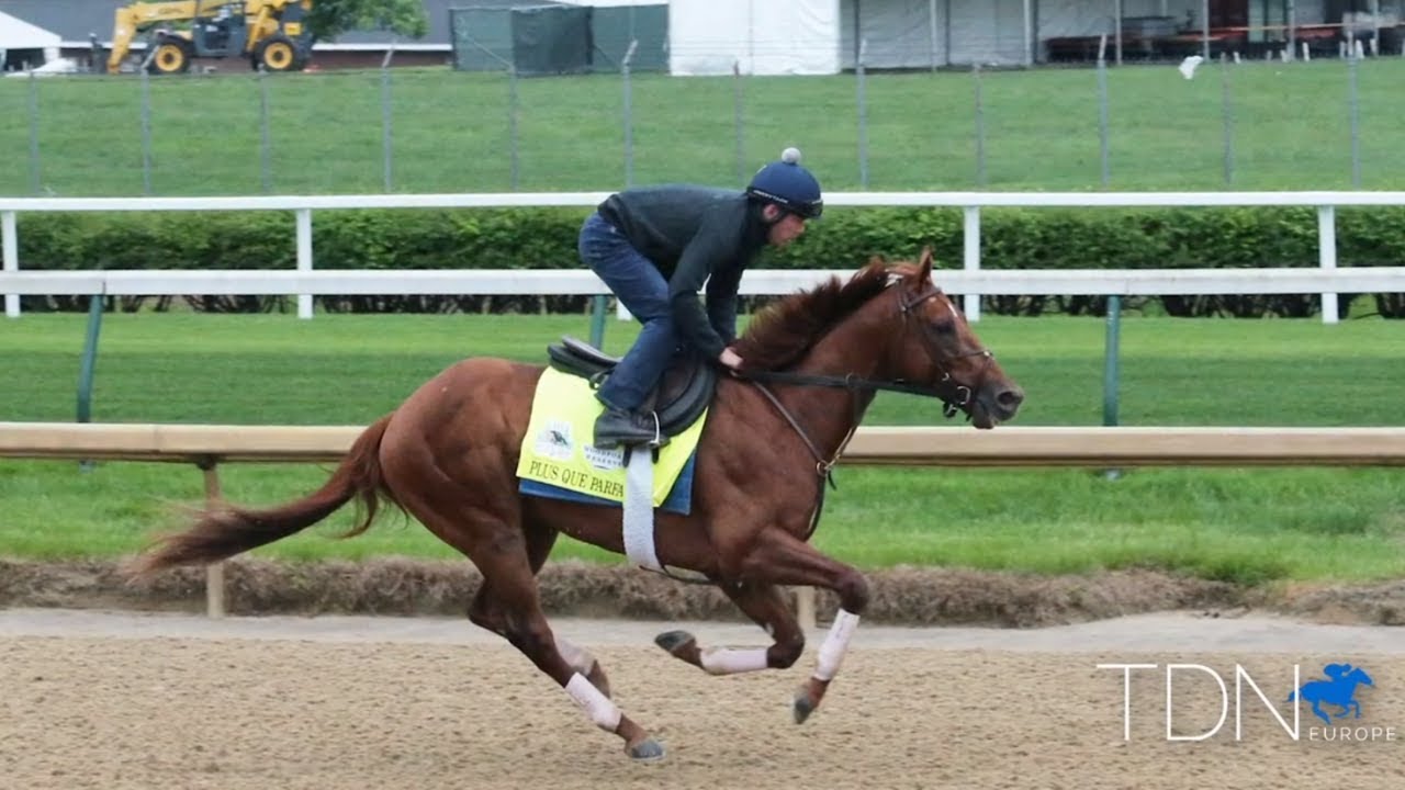 UAE Derby Winner Plus Que Parfait and his trainer Brendan Walsh