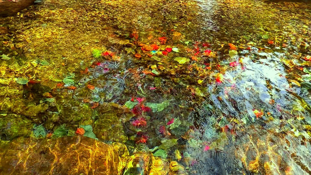 Crystal Clear Stream Sounds for Deep Sleep 🌿 Gentle Water Flow  3 Hours Relax, Study 4K