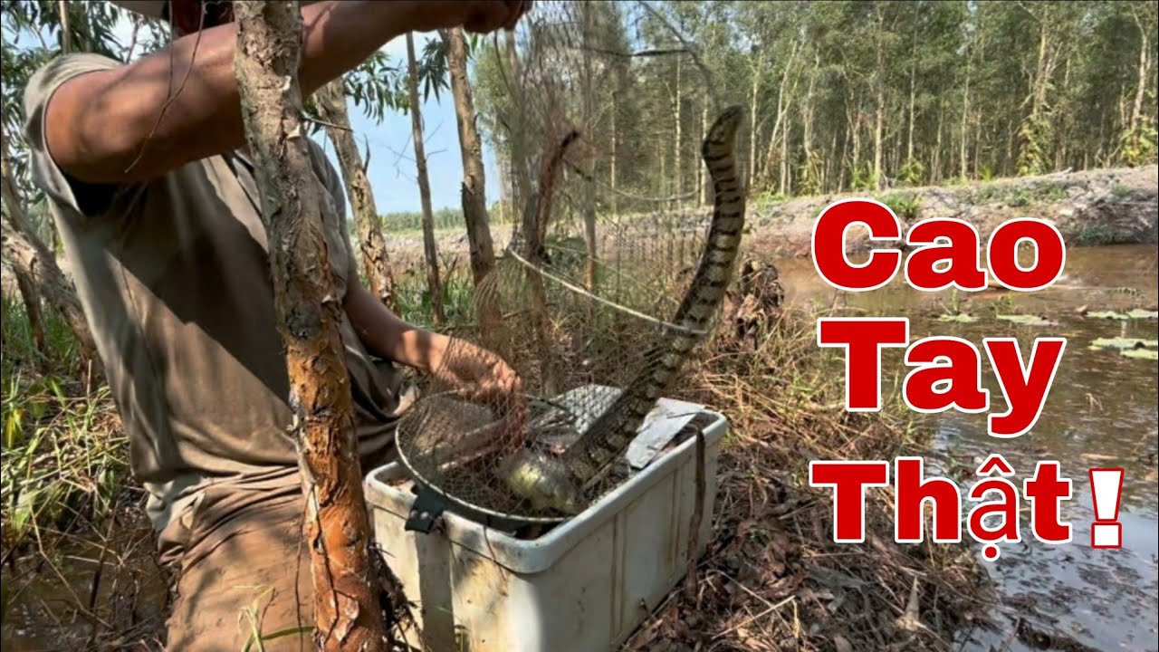 Không Ngờ Tới! Ông Anh Đặt Lờ Quá Cao Tay – Lờ Nào Cũng Dính