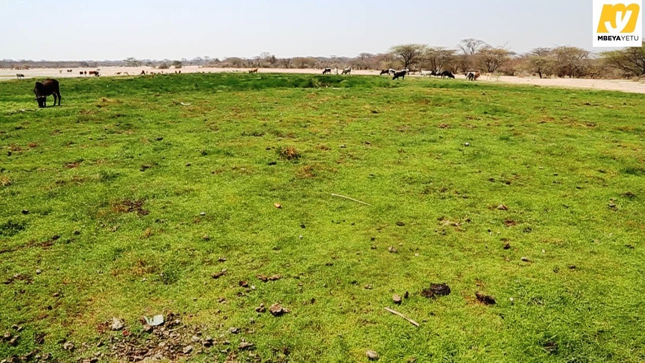 MAAJABU YA ARDHI INAYONESANESA  MKOANI MBEYA