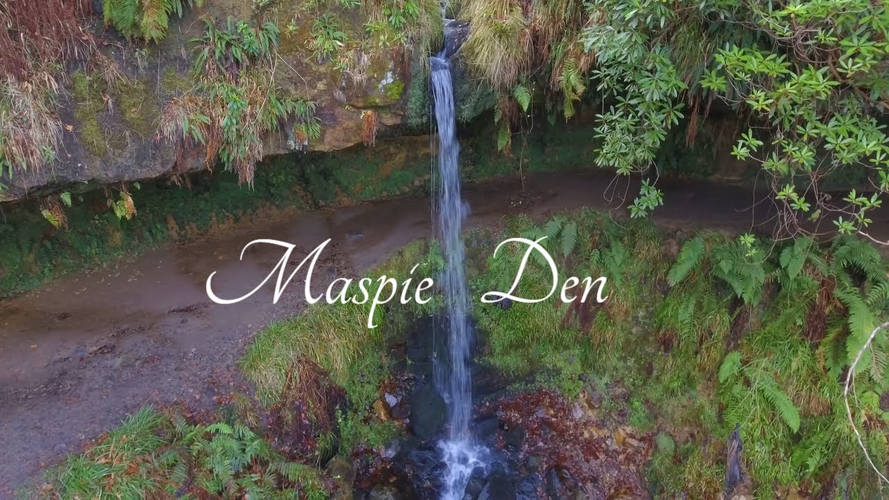Maspie Den waterfall, Falkland Estate, Fife