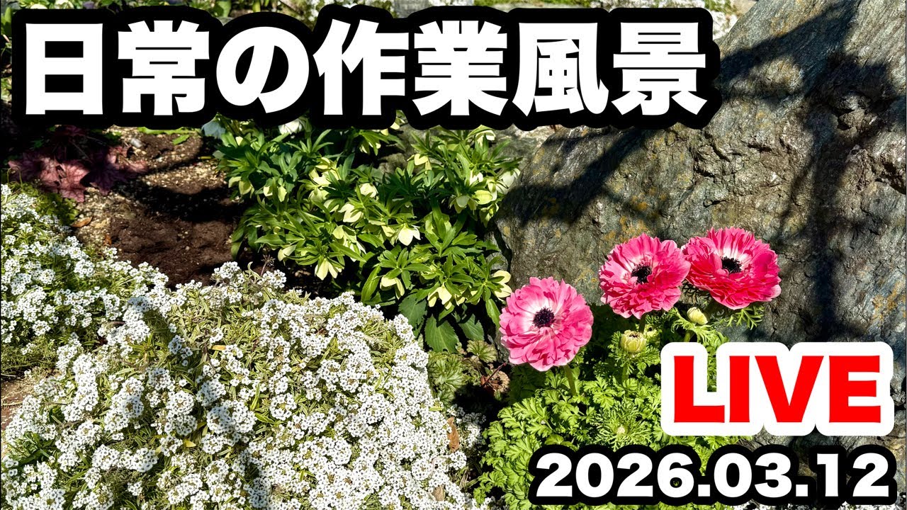 ◆やっちゃんねるの日常 ３月