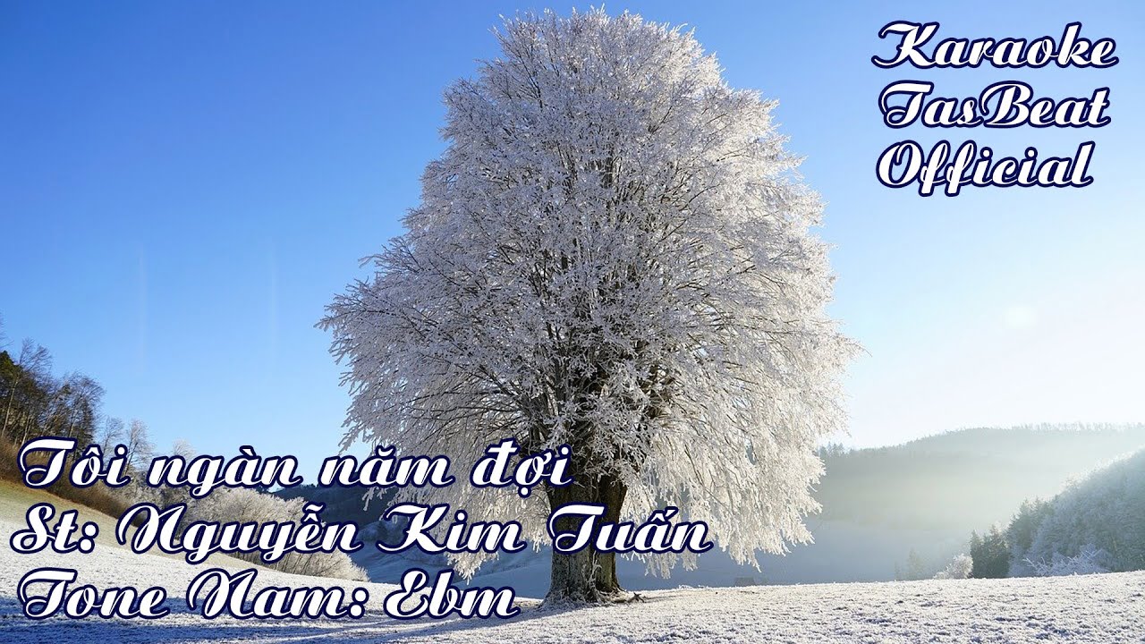 Karaoke Tôi Ngàn Năm Đợi Tone Nam | TAS BEAT