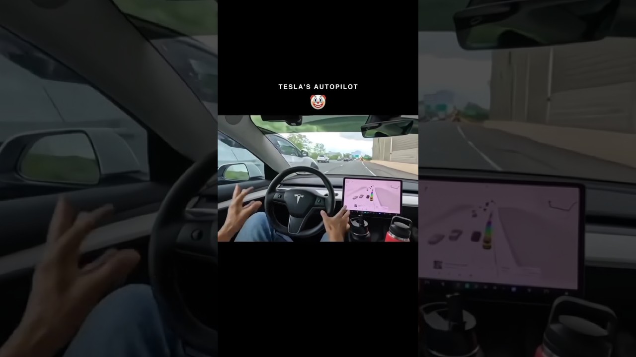 TESLA AUTOPILOT VS INDIAN CAR AUTOPILOT 🗿💯 #automobile #mahindra #tesla #viral