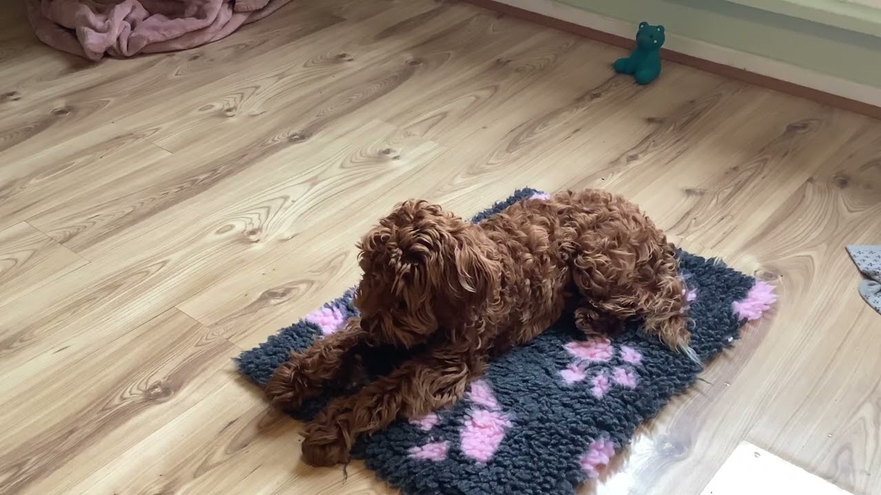 Mat game