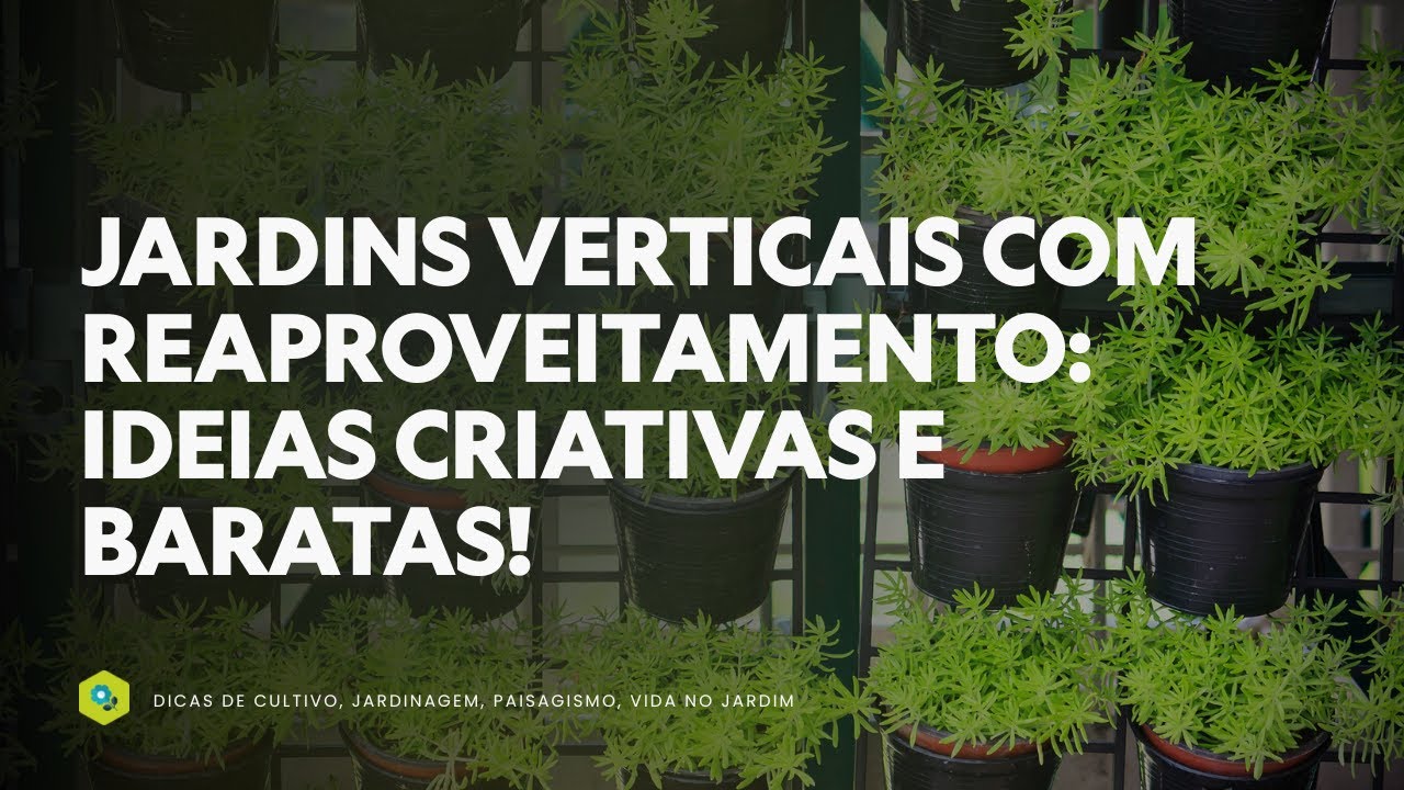 Jardins Verticais com Reaproveitamento: Ideias Criativas e Baratas!