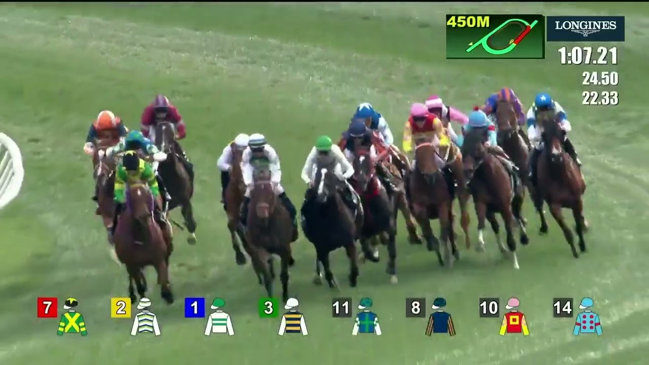 VOYAGE BUBBLE - Hong Kong Mile 2025 (3YO+ WFA G1) Группа 1 Ша Тин, Гонконг, 14 декабря