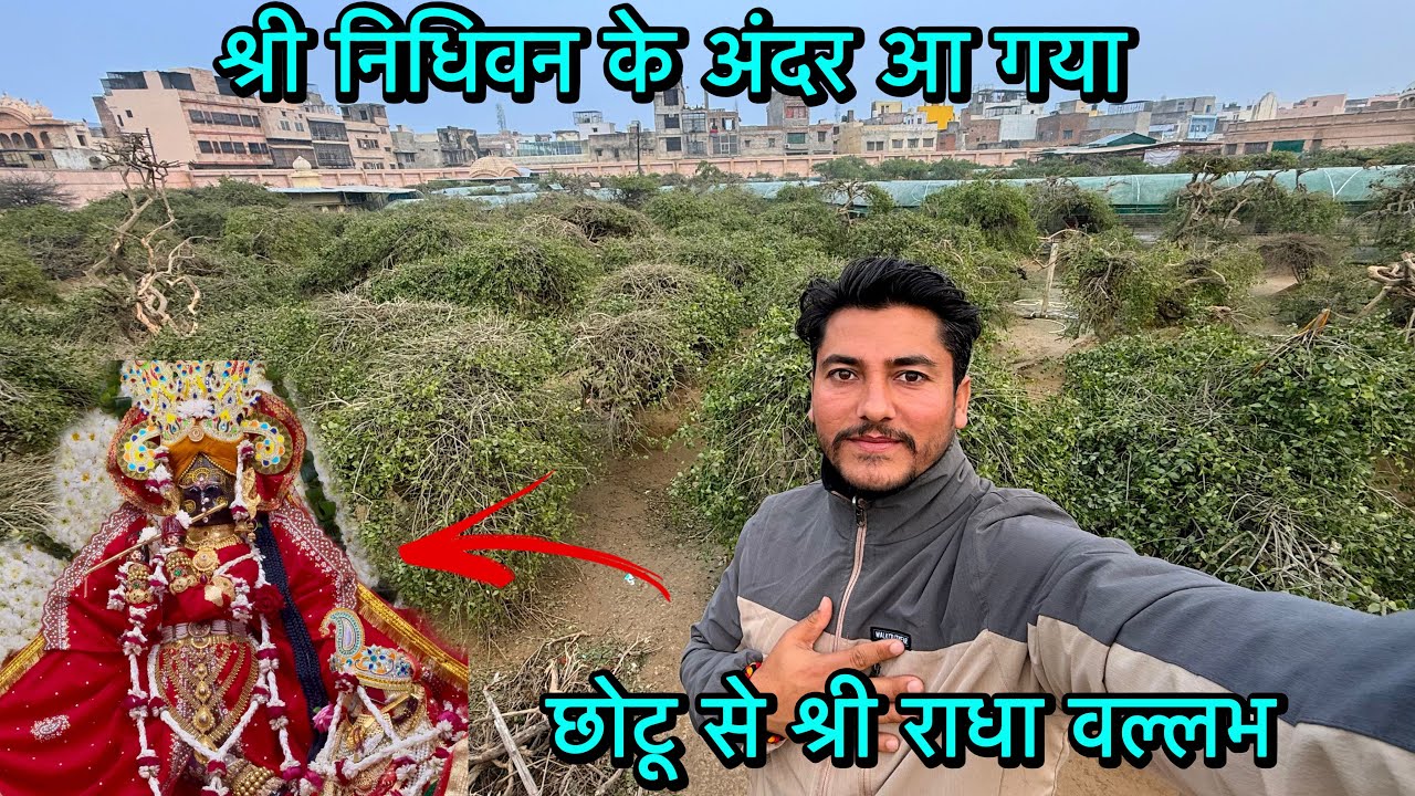 पहली बार छोटू से श्री राधा वल्लभ जी के दर्शन करके बहुत अच्छा लगा 🥰 